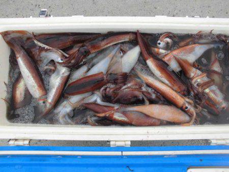 大進丸（愛知） 釣果