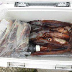 大進丸（愛知） 釣果