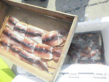 大進丸（愛知） 釣果