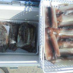 大進丸（愛知） 釣果