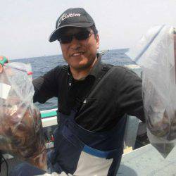 大進丸(愛知) 釣果