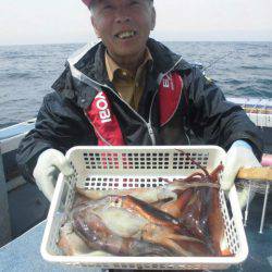 大進丸(愛知) 釣果