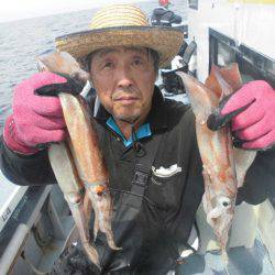 大進丸(愛知) 釣果