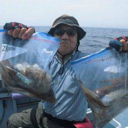 大進丸(愛知) 釣果