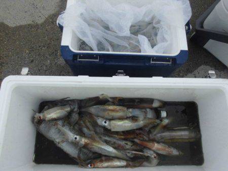 大進丸(愛知) 釣果