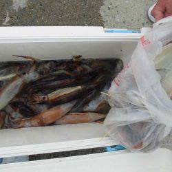 大進丸(愛知) 釣果