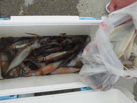 大進丸(愛知) 釣果