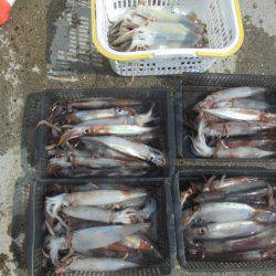 大進丸(愛知) 釣果