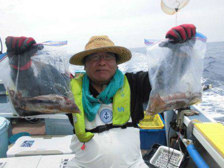大進丸（愛知） 釣果