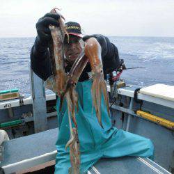 大進丸（愛知） 釣果