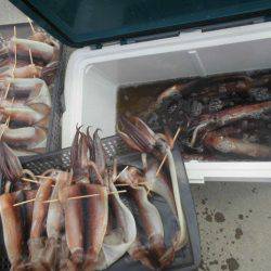 大進丸（愛知） 釣果