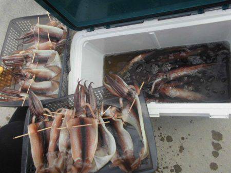 大進丸（愛知） 釣果