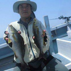 大進丸（愛知） 釣果