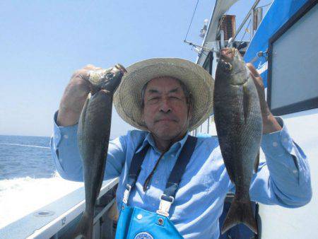 大進丸（愛知） 釣果