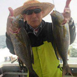 大進丸（愛知） 釣果