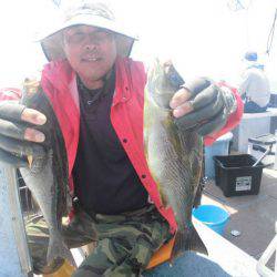 大進丸（愛知） 釣果