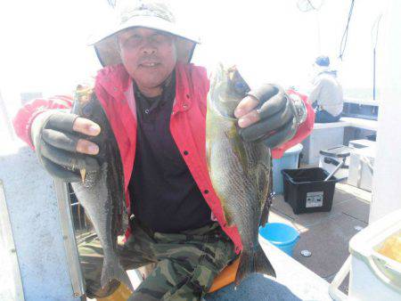 大進丸（愛知） 釣果