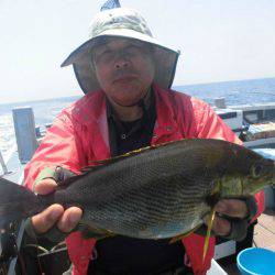 大進丸（愛知） 釣果