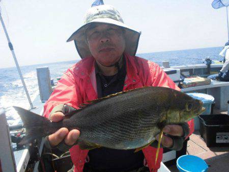 大進丸（愛知） 釣果