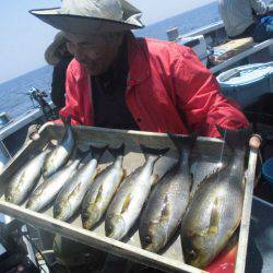 大進丸（愛知） 釣果