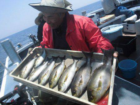 大進丸（愛知） 釣果