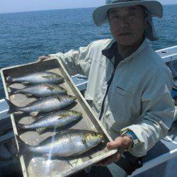 大進丸（愛知） 釣果