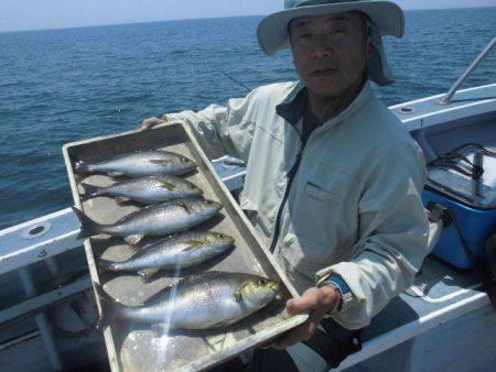 大進丸（愛知） 釣果