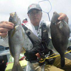 大進丸（愛知） 釣果