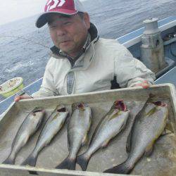 大進丸（愛知） 釣果