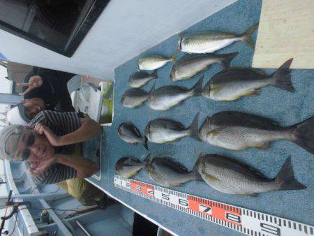 大進丸（愛知） 釣果