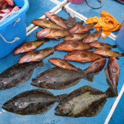 十八宝洋丸 釣果