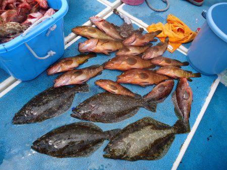 十八宝洋丸 釣果