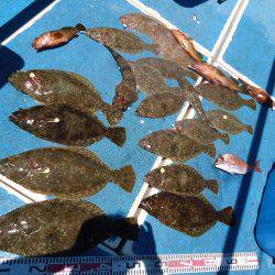 十八宝洋丸 釣果