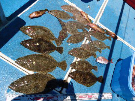 十八宝洋丸 釣果