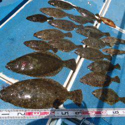 十八宝洋丸 釣果