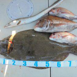 ＨＡＲＵＫＡ丸　はるかまる 釣果