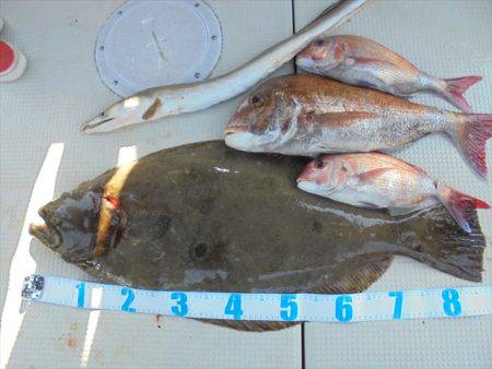 ＨＡＲＵＫＡ丸　はるかまる 釣果