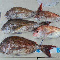 ＨＡＲＵＫＡ丸　はるかまる 釣果