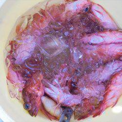 ＨＡＲＵＫＡ丸　はるかまる 釣果