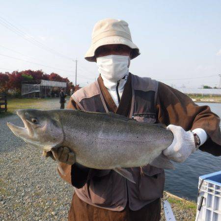 浜名湖フィッシングリゾート 釣果