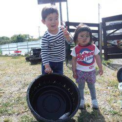 浜名湖フィッシングリゾート 釣果