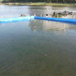 浜名湖フィッシングリゾート 釣果