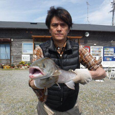 浜名湖フィッシングリゾート 釣果