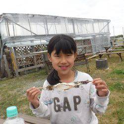 浜名湖フィッシングリゾート 釣果