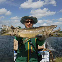 浜名湖フィッシングリゾート 釣果