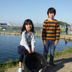 浜名湖フィッシングリゾート 釣果