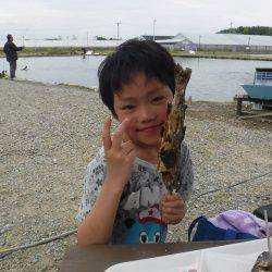 浜名湖フィッシングリゾート 釣果