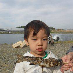 浜名湖フィッシングリゾート 釣果