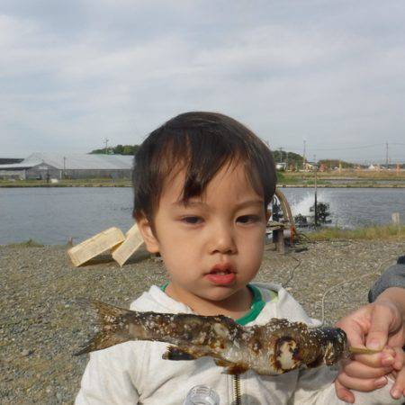 浜名湖フィッシングリゾート 釣果