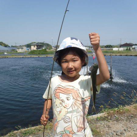 浜名湖フィッシングリゾート 釣果